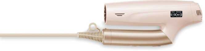 Haartrockner ICONIC PRO 1600W 