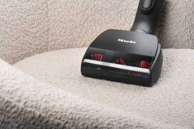 Kabelloser Handstaubsauger Triflex HX2 Cat&Dog 