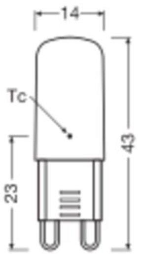 LED Lampe PIN G9 P 2,6W 840 Clear G9 