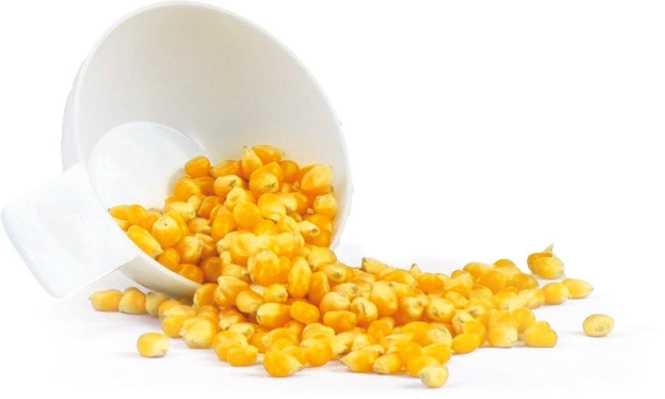 Popcornmaker 1200 W PM 440 