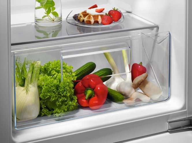 Kühlschrank Einbau Serie 5000 OptiSpace TSF5O88WDF 