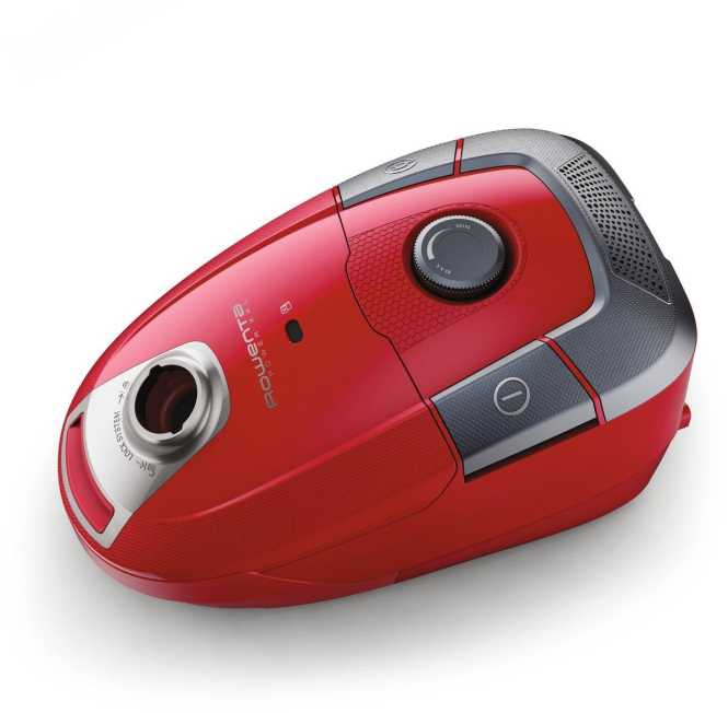 Bodenstaubsauger mit Beutel RO3154 