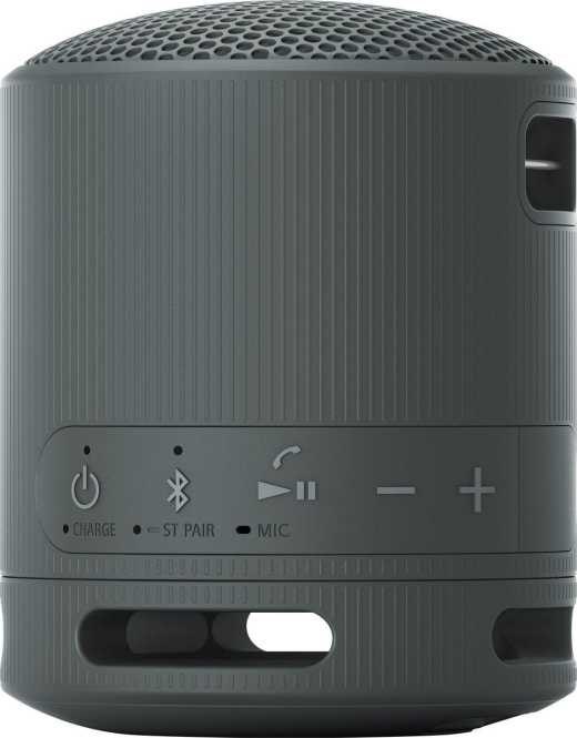 Lautsprecher Bluetooth tragbar schwarz SRSXB100B 
