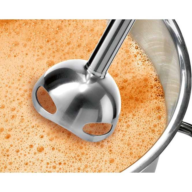 Stabmixer ErgoMixx MS6CB61V1 mit Vakuum-Frischhalteset 