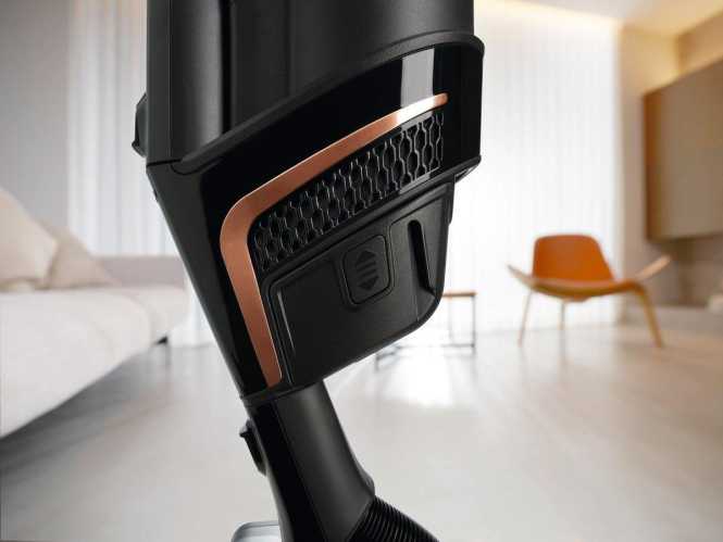 Kabelloser Handstaubsauger Triflex HX2 Cat&Dog 